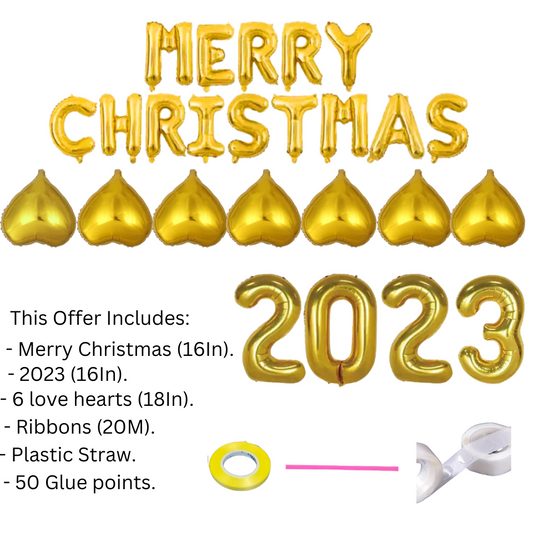 Merry Christmas (16In)